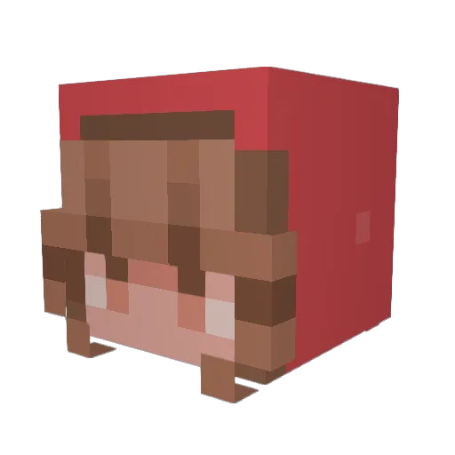 ApfelAnnika Minecraft avatar head, 3D render