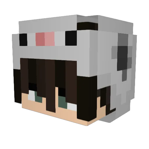 ApfelMangoSaft Minecraft avatar head, 3D render