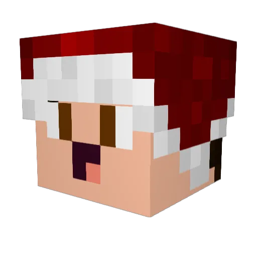 Apfel_Baumi Minecraft avatar head, 3D render