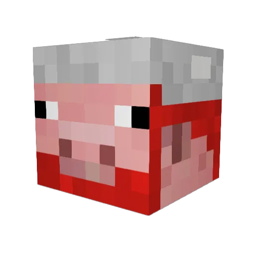 Apflkuchn2532 Minecraft avatar head, 3D render