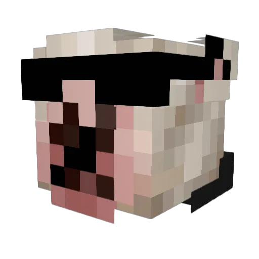 Aphyyy Minecraft avatar head, 3D render