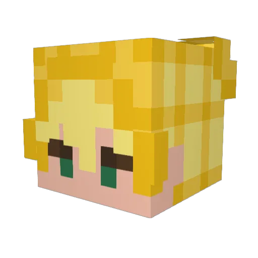 Api242_ Minecraft avatar head, 3D render