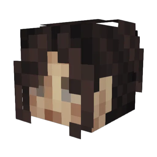 Apidaebee Minecraft avatar head, 3D render