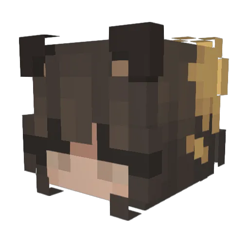 Apidaee Minecraft avatar head, 3D render