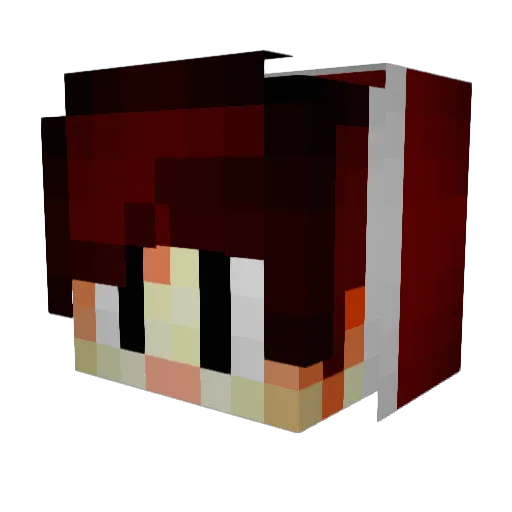Apiip Minecraft avatar head, 3D render
