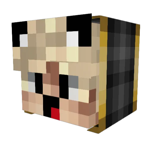Apikka Minecraft avatar head, 3D render
