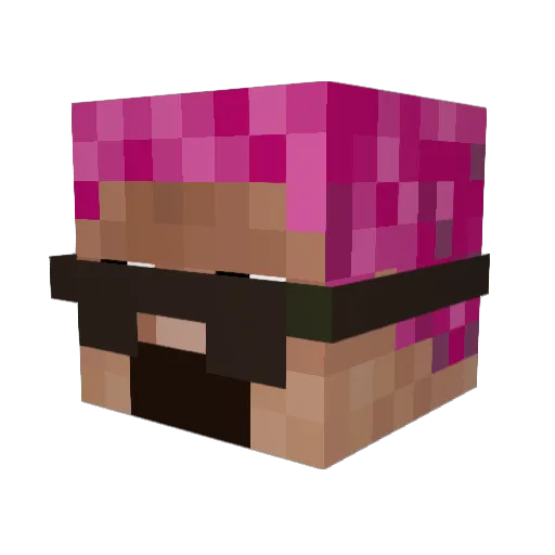 Apila Minecraft avatar head, 3D render