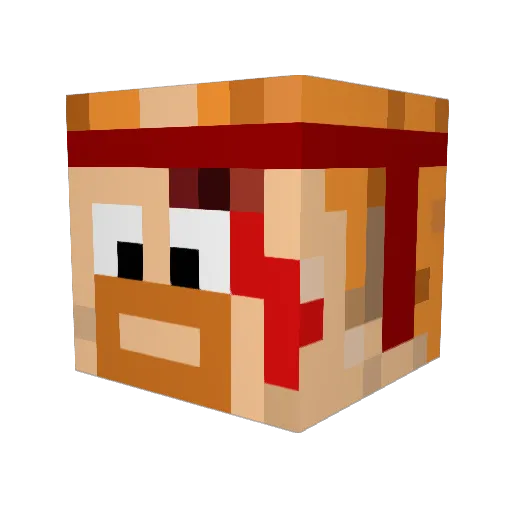 ApinaSalaatti Minecraft avatar head, 3D render