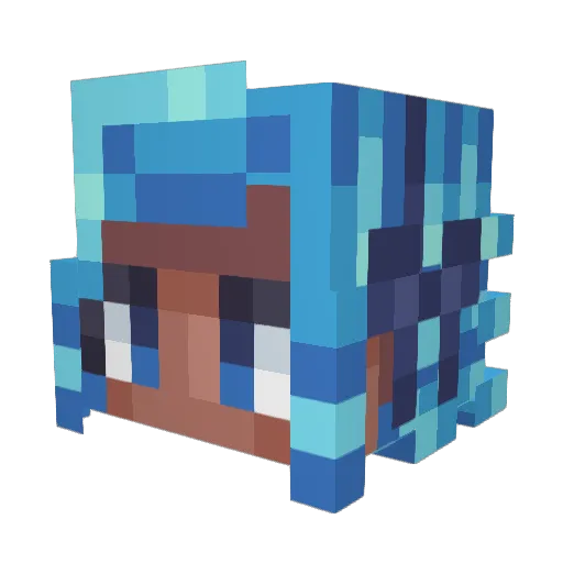 ApitanN1000 Minecraft avatar head, 3D render