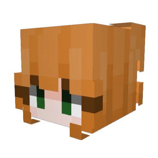 Aplay200 Minecraft avatar head, 3D render