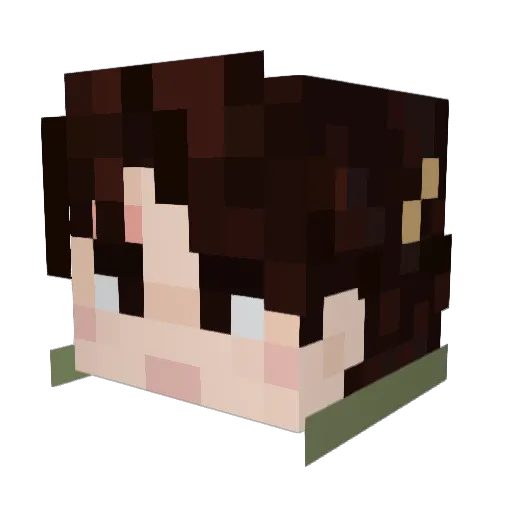 Aplopi Minecraft avatar head, 3D render