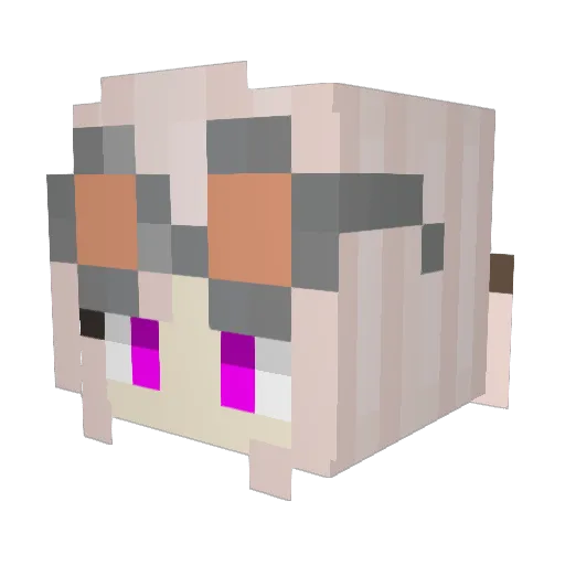 Apo77 Minecraft avatar head, 3D render
