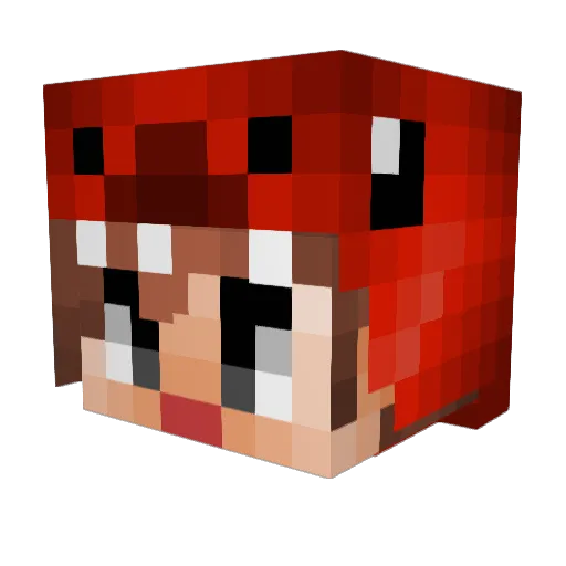 Apo_Theke Minecraft avatar head, 3D render