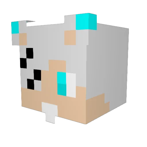 Apocalypse888 Minecraft avatar head, 3D render