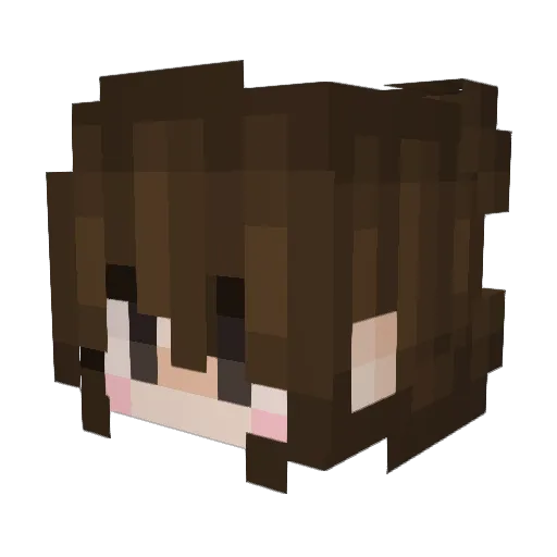 Apok17 Minecraft avatar head, 3D render