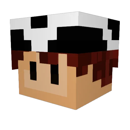 Apollo109 Minecraft avatar head, 3D render