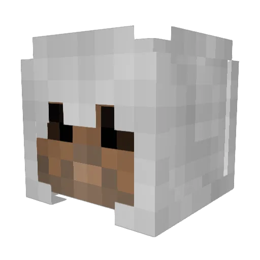 Apollo42293 Minecraft avatar head, 3D render