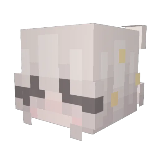 Apollo602266 Minecraft avatar head, 3D render
