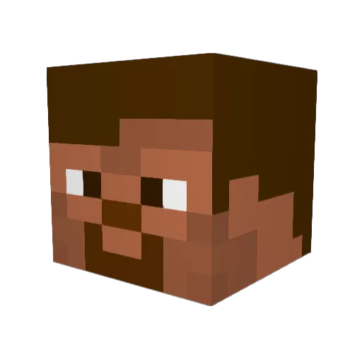 ApolloTanuki Minecraft avatar head, 3D render