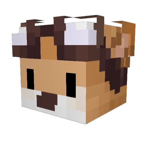 ApolloTheSnek Minecraft avatar head, 3D render