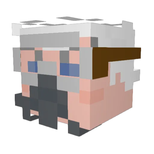 Apollokolr Minecraft avatar head, 3D render