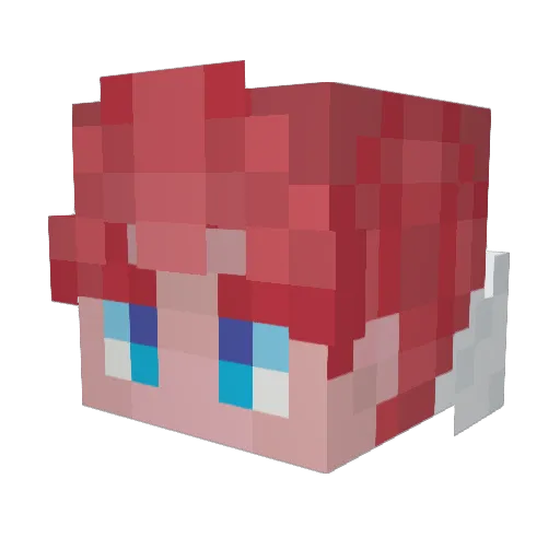 Apollon456 Minecraft avatar head, 3D render