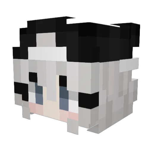 ApollonRG Minecraft avatar head, 3D render