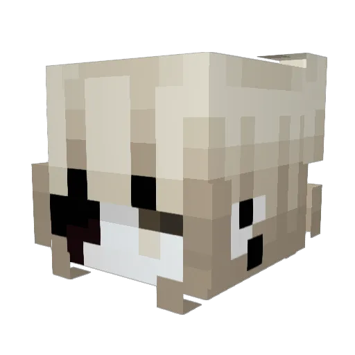 Apollonie Minecraft avatar head, 3D render