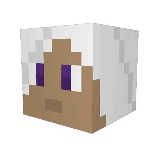 Apollos555 Minecraft avatar head, 3D render