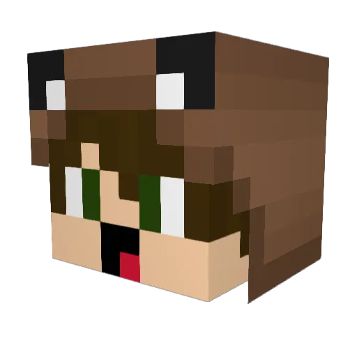 Apologetic_Heli Minecraft avatar head, 3D render