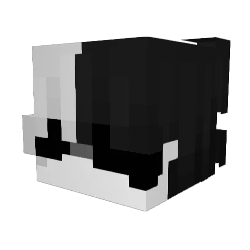 Apoloyy Minecraft avatar head, 3D render