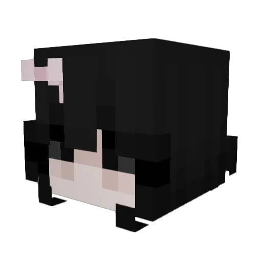 Aponiaa Minecraft avatar head, 3D render