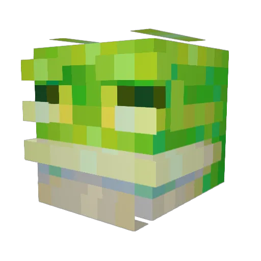 Apophas Minecraft avatar head, 3D render