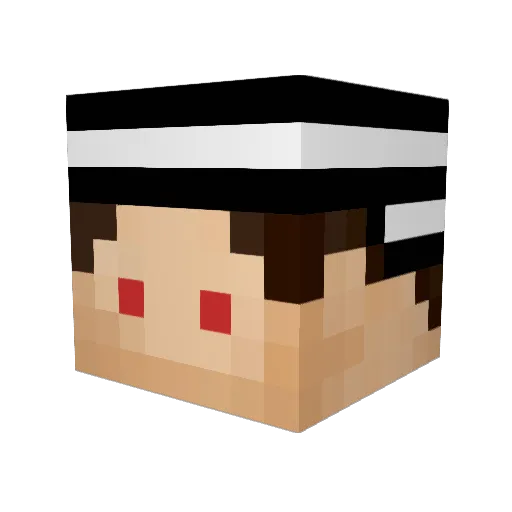 Aporetaly Minecraft avatar head, 3D render