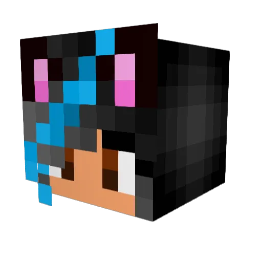 Apot1 Minecraft avatar head, 3D render