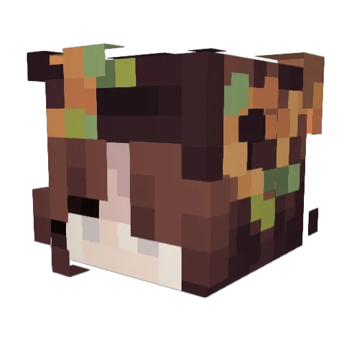 App1e5aucee Minecraft avatar head, 3D render