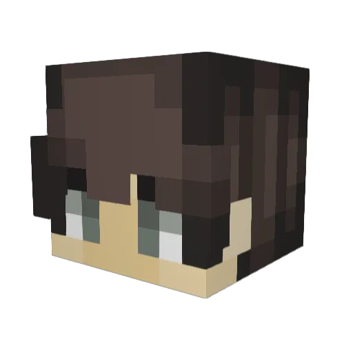 AppIess Minecraft avatar head, 3D render