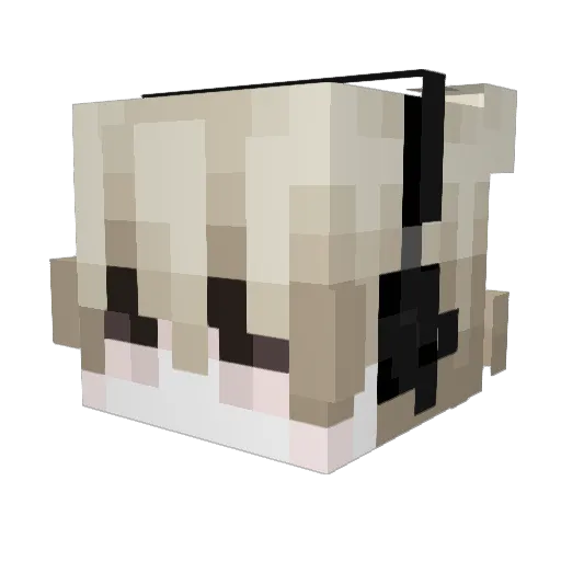 AppSay Minecraft avatar head, 3D render