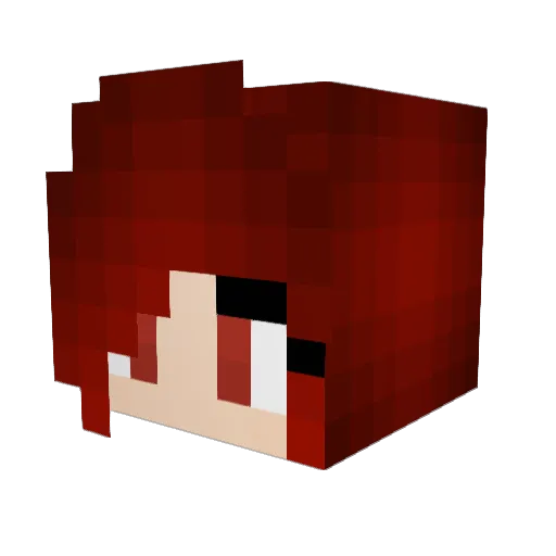 Appa_Lee Minecraft avatar head, 3D render
