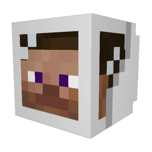 Appalapappala Minecraft avatar head, 3D render