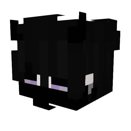 Appearencess Minecraft avatar head, 3D render