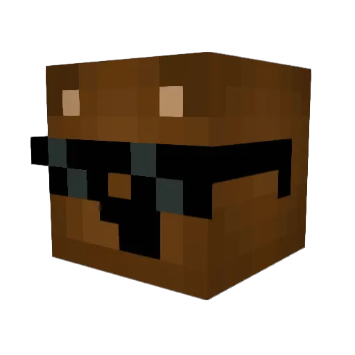 AppelTaartNL Minecraft avatar head, 3D render