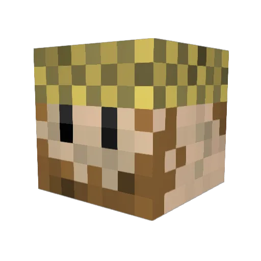 Appelboom3000 Minecraft avatar head, 3D render