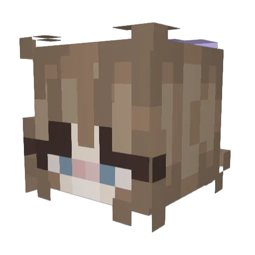 Appelsap013 Minecraft avatar head, 3D render