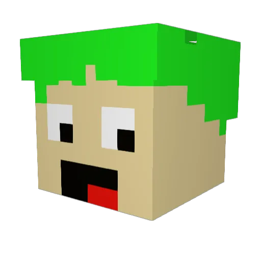 Appelsap2024 Minecraft avatar head, 3D render