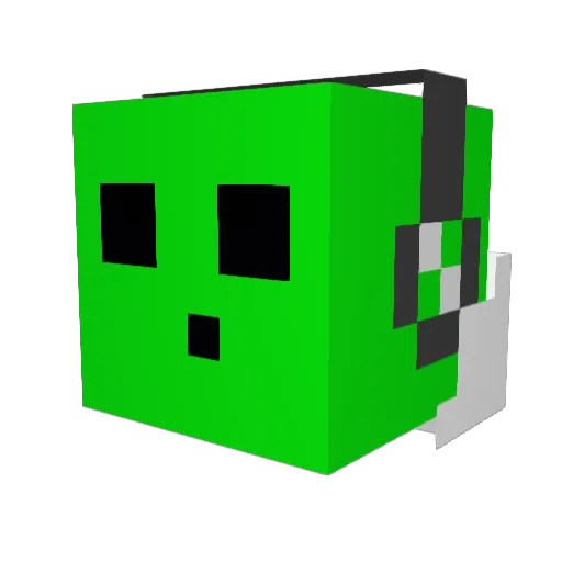 Appeltje30 Minecraft avatar head, 3D render