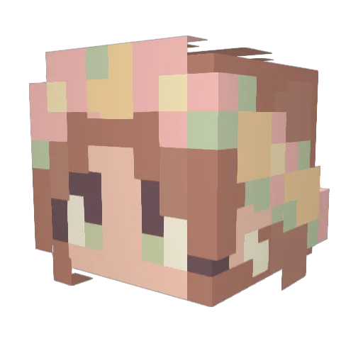 Appendixx Minecraft avatar head, 3D render
