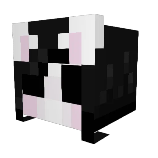 AppleCatNom Minecraft avatar head, 3D render