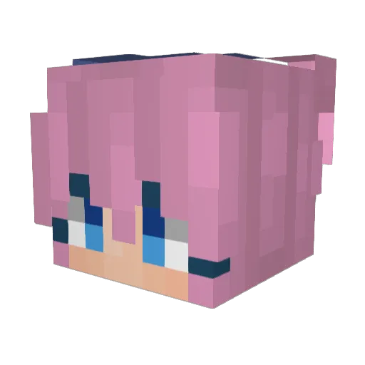 AppleCider62 Minecraft avatar head, 3D render