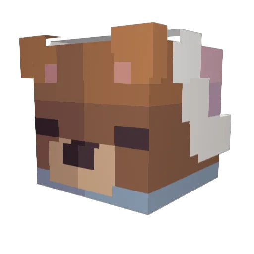 AppleFr1tter_ Minecraft avatar head, 3D render